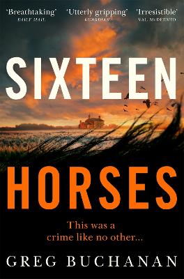 Cover: Sixteen Horses