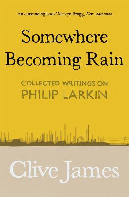 Cover: Somewhere Becoming Rain