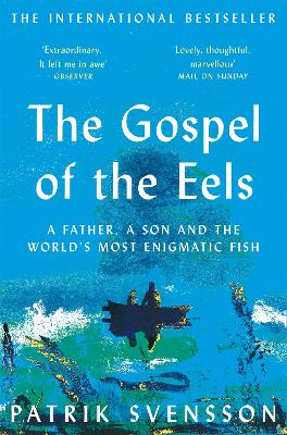 Cover: The Gospel of the Eels