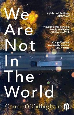 Cover: We Are Not in the World