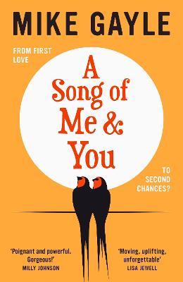 Cover: A Song of Me and You