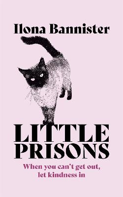 Image of Little Prisons