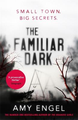 Cover: The Familiar Dark