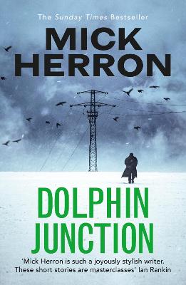 Cover: Dolphin Junction