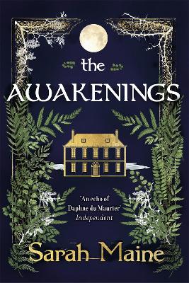 Cover: The Awakenings