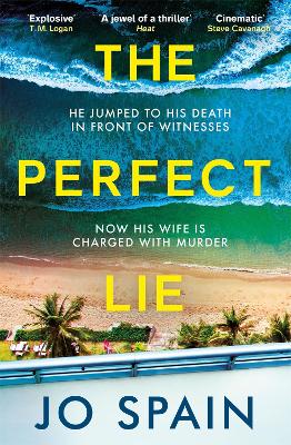 Cover: The Perfect Lie