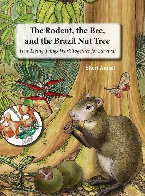 Image of The Rodent, the Bee, and the Brazil Nut Tree