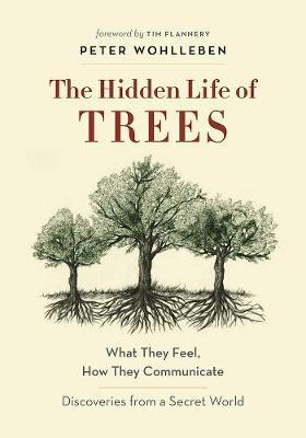 Image of The Hidden Life of Trees