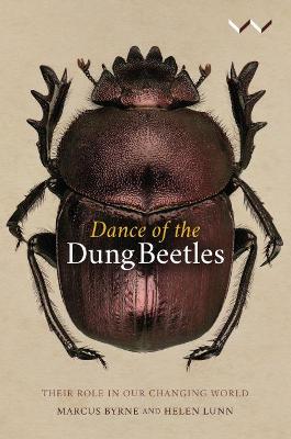 Image of Dance of the Dung Beetles