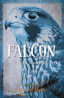 Cover: Falcon