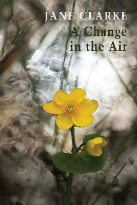 Cover: A Change in the Air