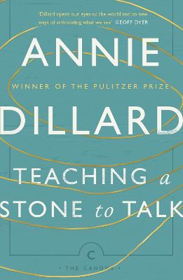 Cover: Teaching a Stone to Talk