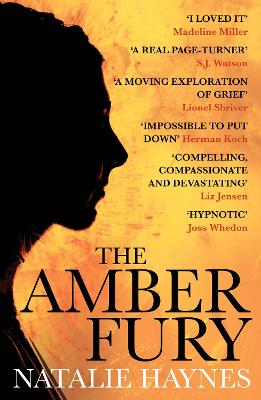 Cover of The Amber Fury