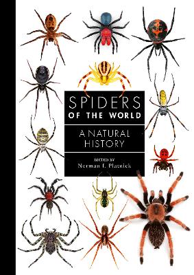 Cover: Spiders of the World