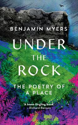 Cover: Under the Rock