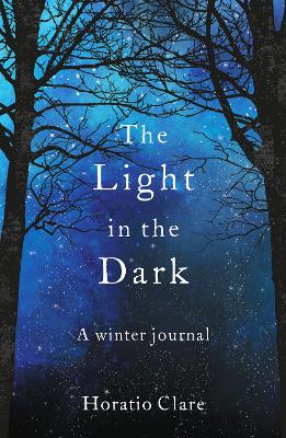 Cover: The Light in the Dark