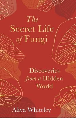 Image of The Secret Life of Fungi