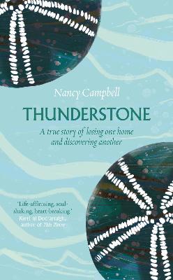 Cover: Thunderstone