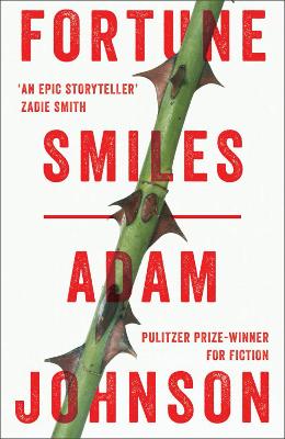 Image of Fortune Smiles: Stories