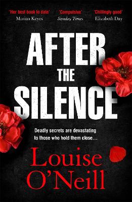 Cover: After the Silence