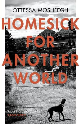 Cover: Homesick For Another World