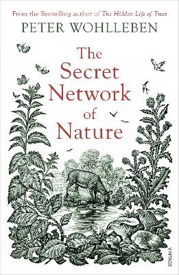 Cover: The Secret Network of Nature