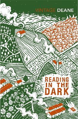 Cover: Reading in the Dark