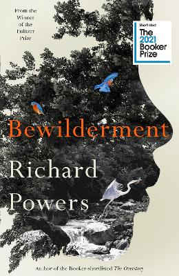 Cover: Bewilderment