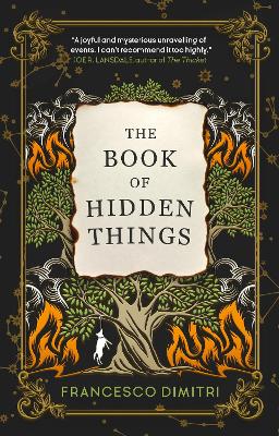 Cover: The Book of Hidden Things