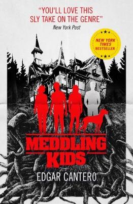 Cover: Meddling Kids