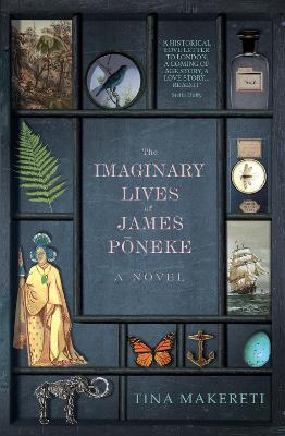 Image of The Imaginary Lives of James Poneke