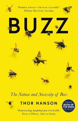 Cover: Buzz