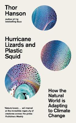 Image of Hurricane Lizards and Plastic Squid