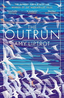 Cover: The Outrun