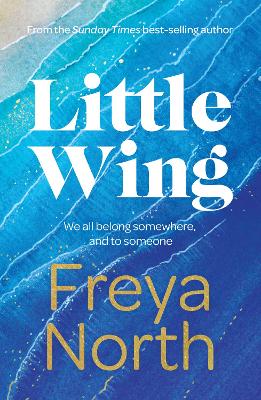 Cover: Little Wing