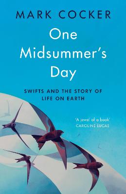 Cover: One Midsummer's Day