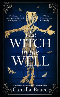 Cover: The Witch in the Well