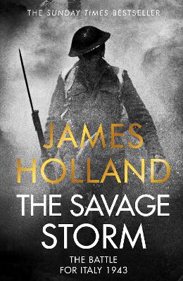 Cover: The Savage Storm
