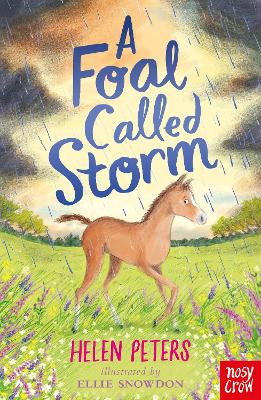 Cover: A Foal Called Storm