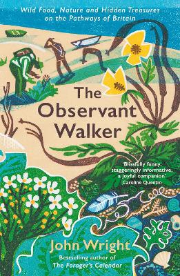 Cover: The Observant Walker