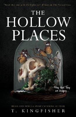 Cover: The Hollow Places
