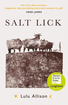 Cover: Salt Lick