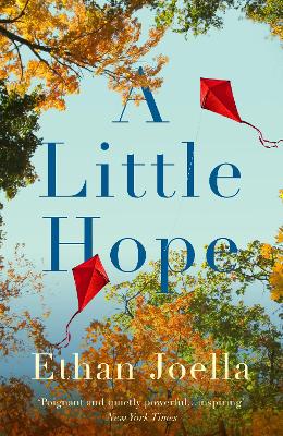 Cover: A Little Hope