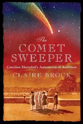 Image of The Comet Sweeper
