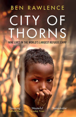 Cover: City of Thorns