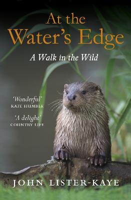 Cover: At the Water's Edge