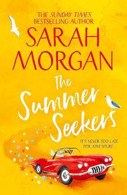 Cover: The Summer Seekers