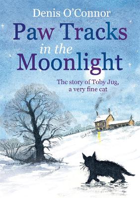 Image of Paw Tracks in the Moonlight