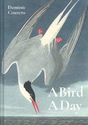 Cover: A Bird A Day