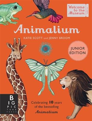 Cover: Animalium (Junior Edition)
